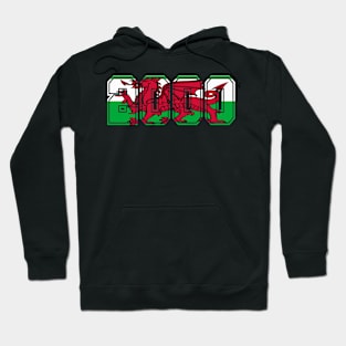 WELSH FLAG 2000 Hoodie